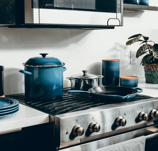 Կաթսաներ. Ինչպե՞ս ընտրել լավագույնը